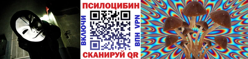 купить  цена  Дорогобуж  Псилоцибиновые грибы GOLDEN TEACHER 